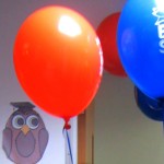 owl admires balloons