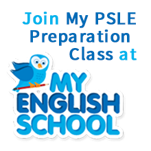 Classes for PSLE Preparation now available!